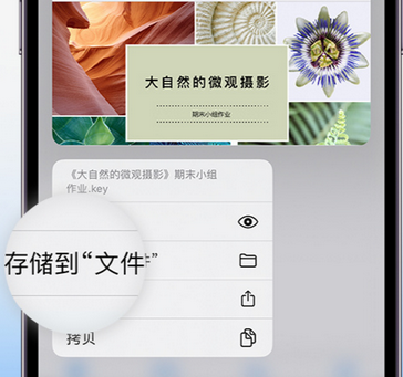 波密apple维修中心分享iPhone文件应用中存储和找到下载文件