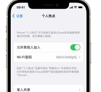 波密apple服务站点分享iPhone上个人热点丢失了怎么办