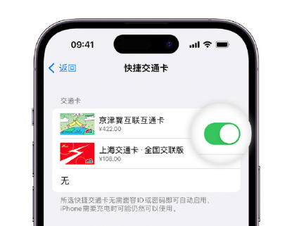 波密apple维修点分享iPhone上更换Apple Pay快捷交通卡手绘卡面 