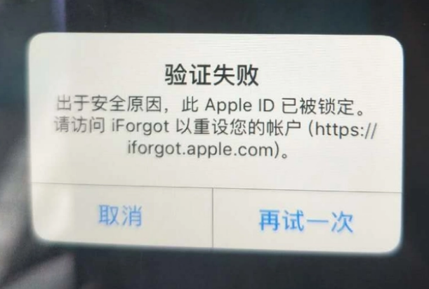 波密iPhone维修分享iPhone上正常登录或使用AppleID怎么办 