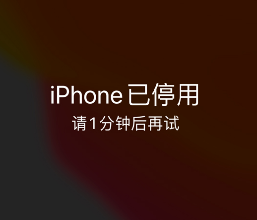 波密苹果手机维修分享:iPhone 显示“不可用”或“已停用”怎么办？还能保留数据吗？ 