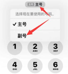 波密苹果14维修店分享iPhone 14 Pro Max使用副卡打电话的方法 