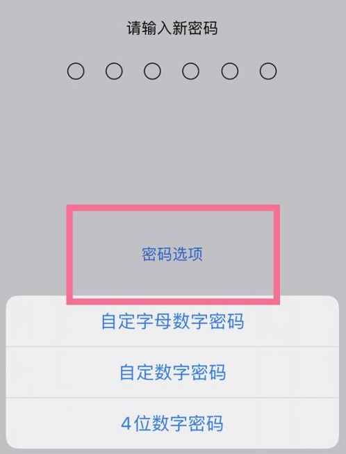 波密苹果14维修分享iPhone 14plus设置密码的方法 